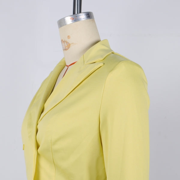 Women elegant Career Turndown Collar Long Sleeve Blazer and Shorts Two-piece Set 11