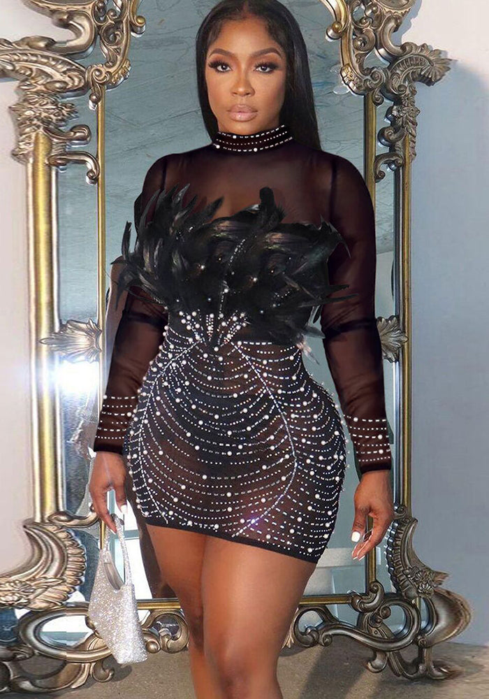Sexy See Through Mesh Long Sleeve Beaded Feather Bodycon Dress