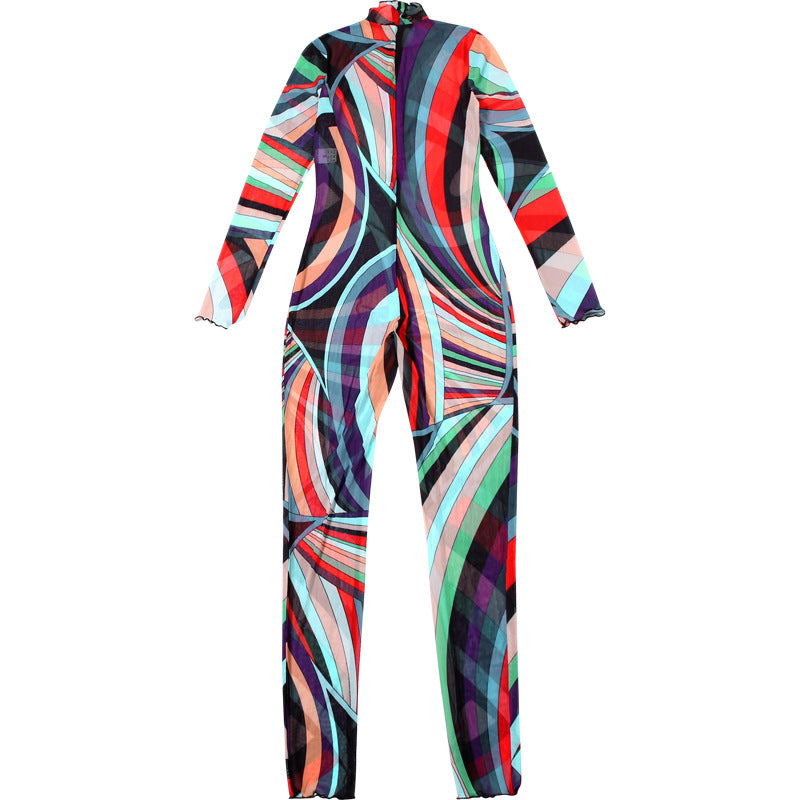 Women Winter Trend Multi-Color Printed Half-High Neck Long Sleeve Mesh Dress 10