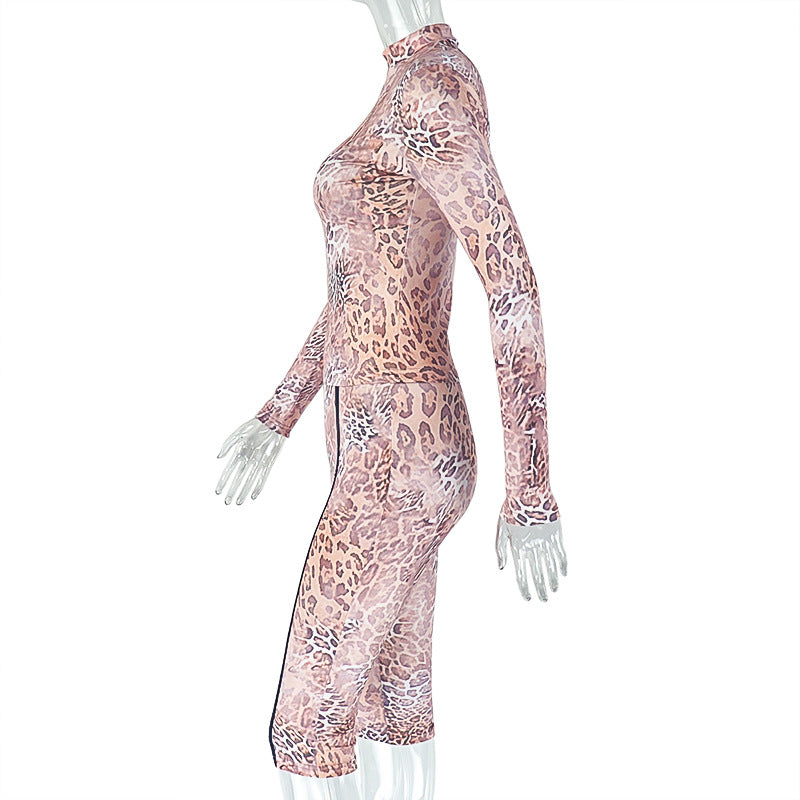 Women's Sexy Leopard Print Sheer Long Sleeve Top & Fitted Pants Set 7