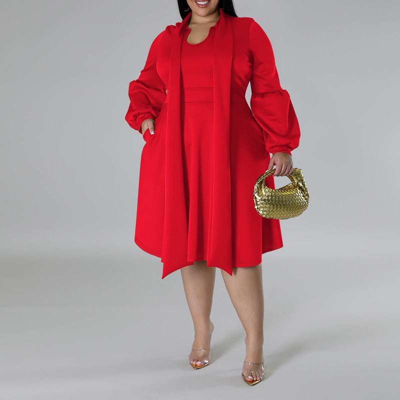 Plus Size Women's tied Neck Puff Long Sleeve A-line Dress 6