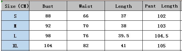 Women's Summer Holidays Chic Print Halter Neck Vest Wide Leg Pants Set 8