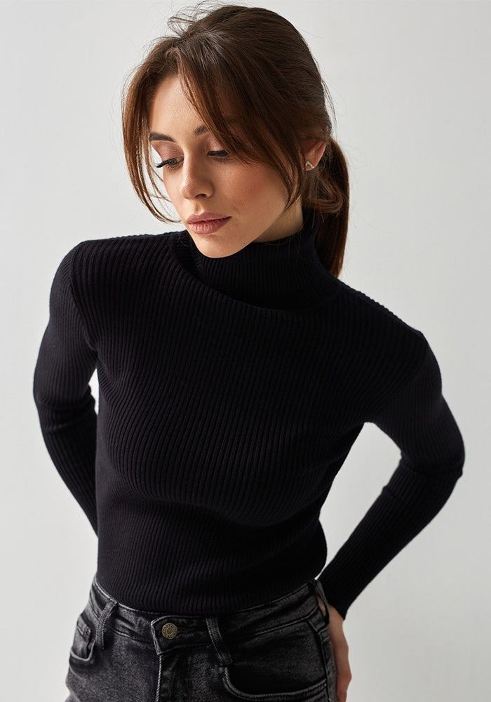 Autumn Turtleneck Pullover Sweater Knitting Basic Shirt For Women