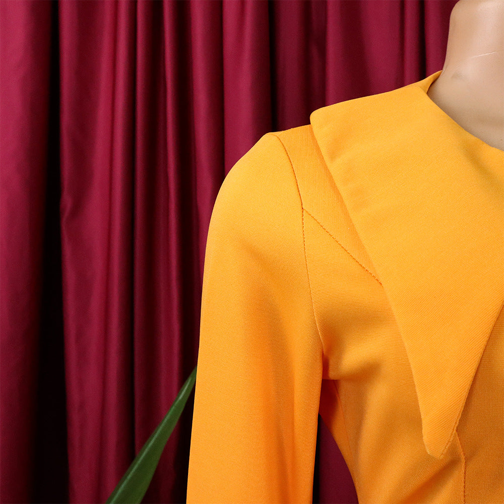 Plus Size Women African Bodycon Dress 20