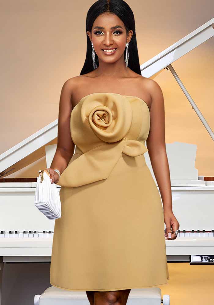 Spring Summer Sexy Low Back Strapless A-Line Slim Waist Luxury Party Dress