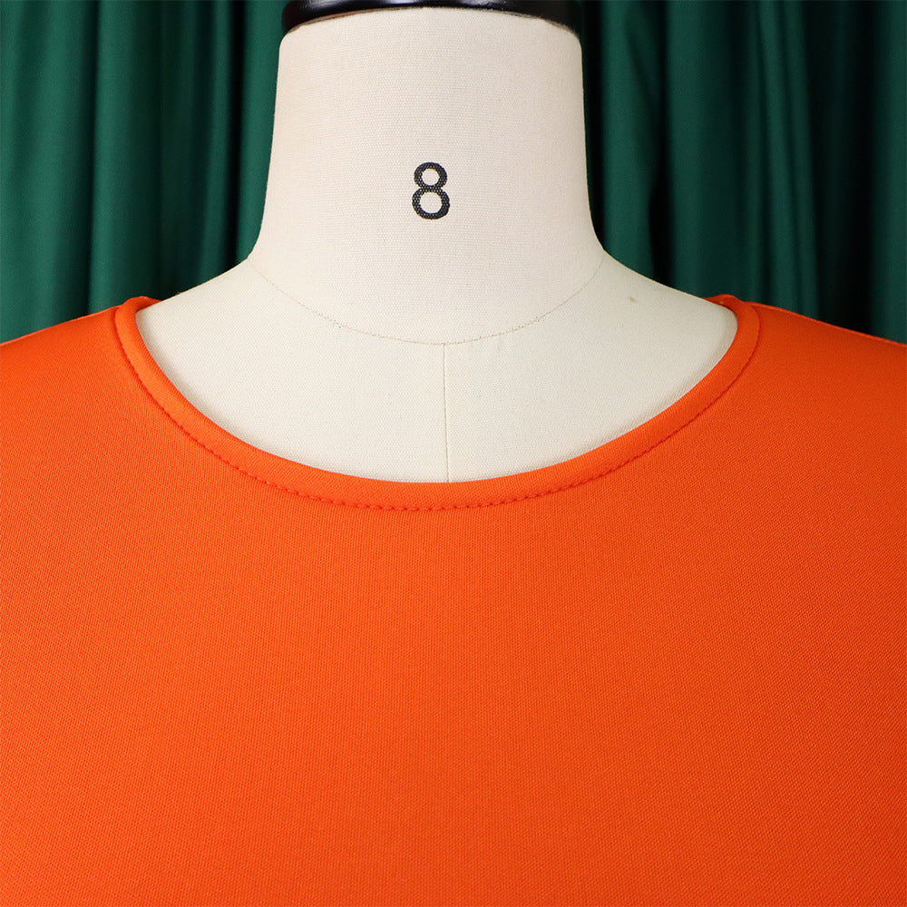 Women Round Neck Puff Sleeve Dress 53