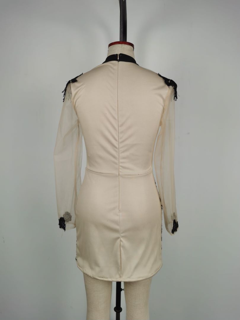 Spring/Summer Women's Sexy Shiny See-Through Formal Party Dress 12