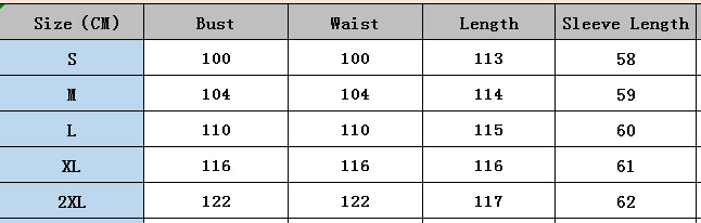 Women Autumn Leopard Print Turndown Collar Loose Casual Shirt Dress 10