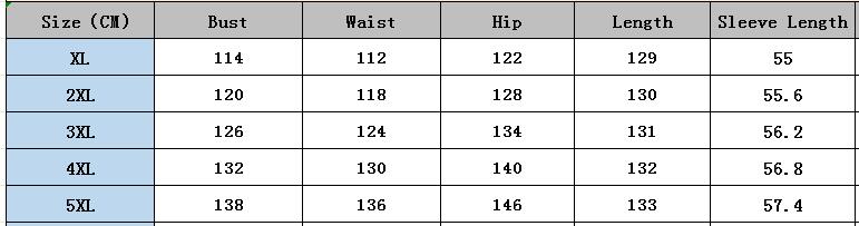 Chic Elegant Printed Loose Long Sleeve Plus Size Dress 7