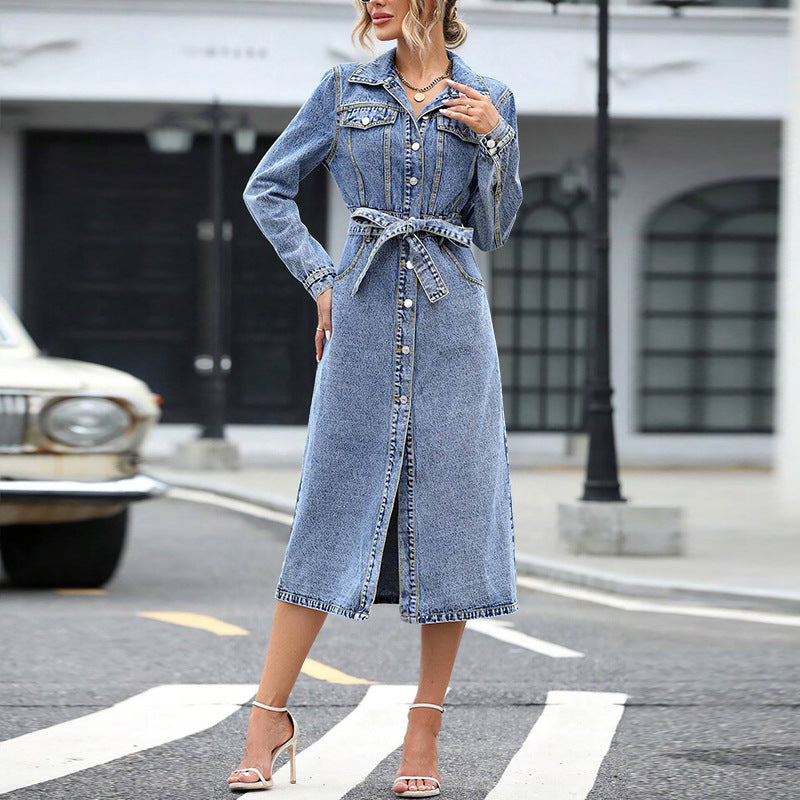 Women Fall/Winter Long-Sleeved Dress 5