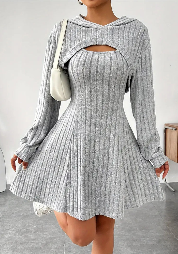 Long Sleeve Hoodie Top and Strap Square Neck A-Line Dress Set