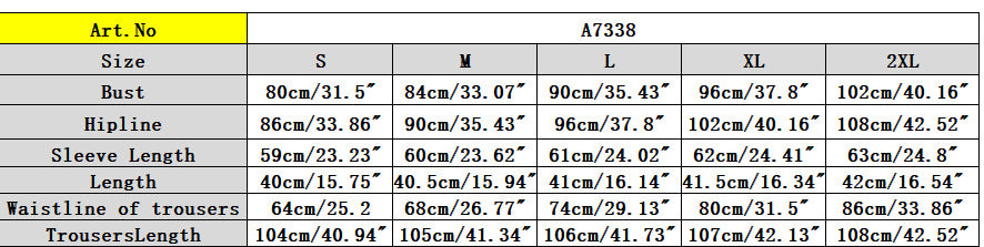 Sexy Solid Zipper Long Sleeve Crop Top Slim Pants Two Piece Club Suit 11