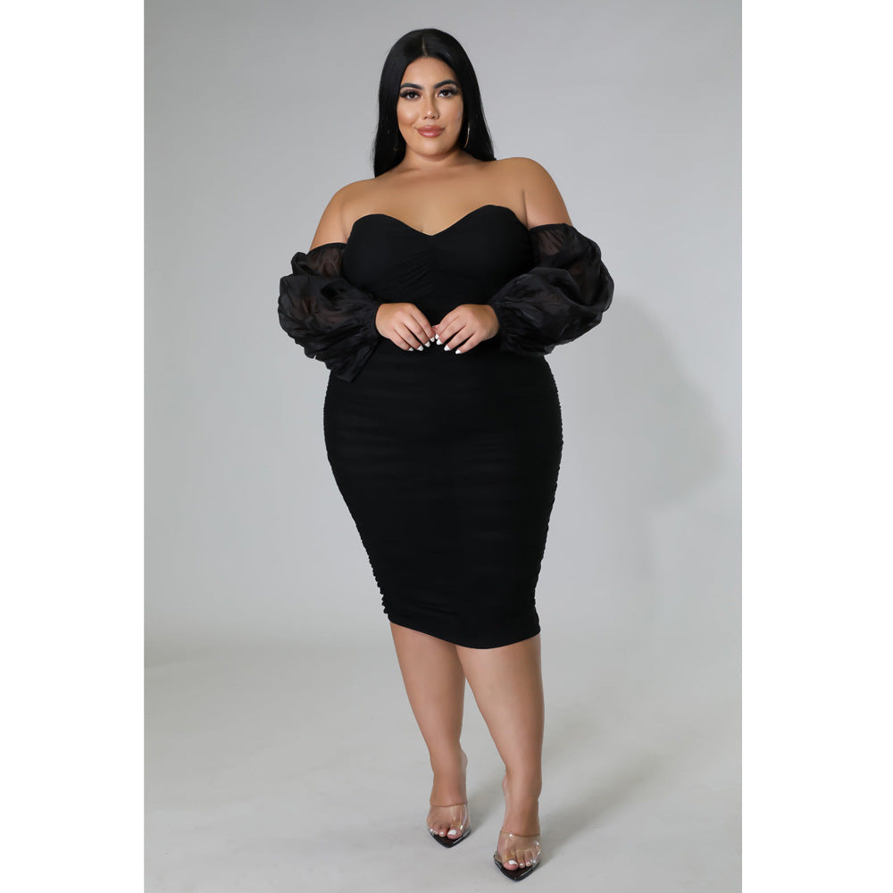 Plus Size Women Mesh Pleated Long Sleeve Dress 3