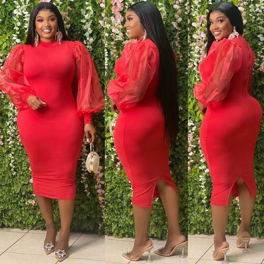 Plus Size Women's See-Through Mesh Balloon Sleeve Bodycon Dress 7