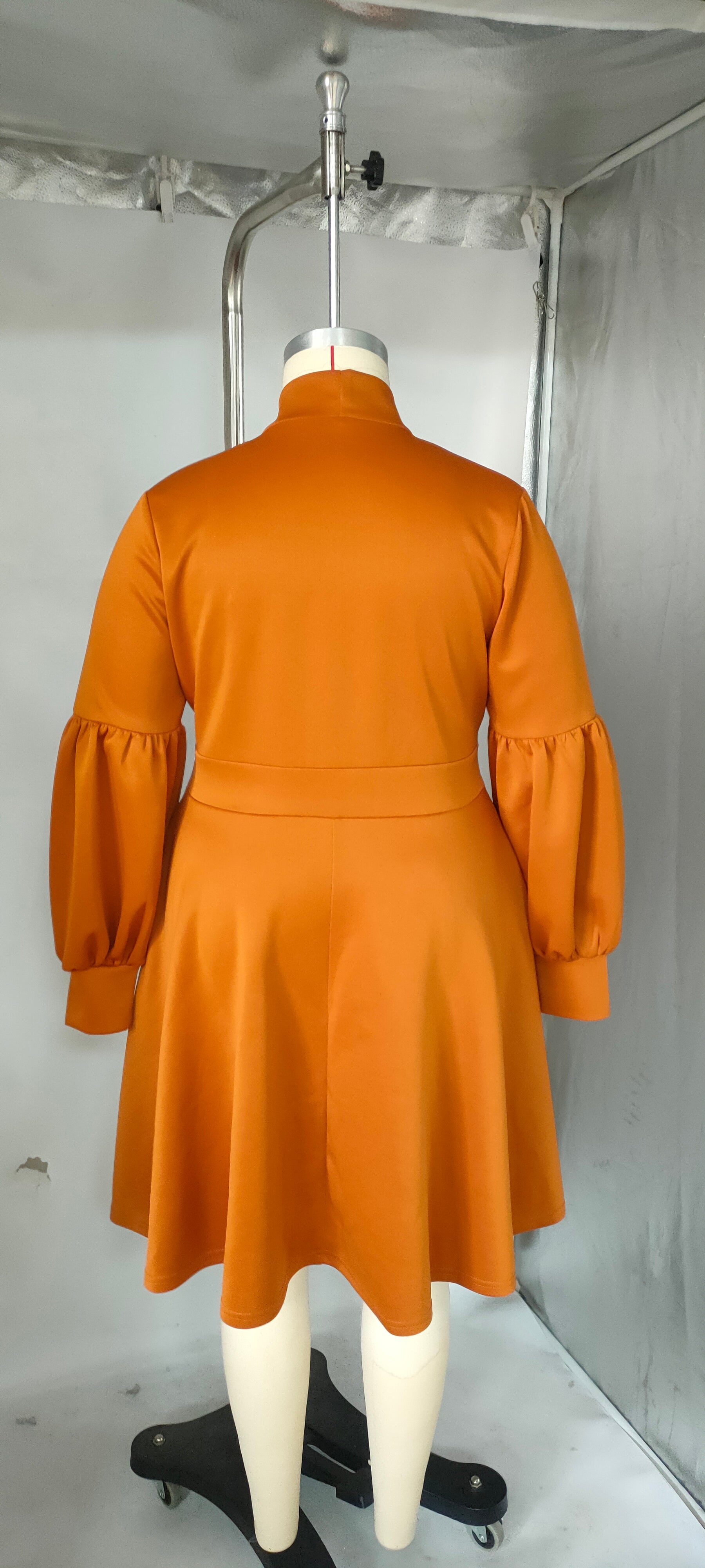 Plus Size Women's tied Neck Puff Long Sleeve A-line Dress 10