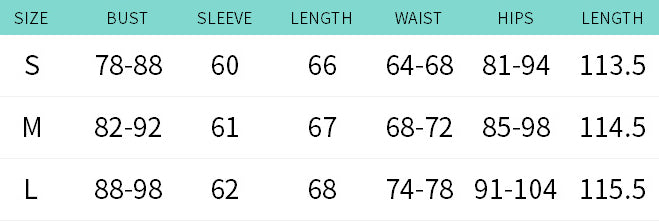 Women Autumn/Winter Leopard Print Mesh Turndown Collar Button Top and Bell Bottom Two-Piece Set 13