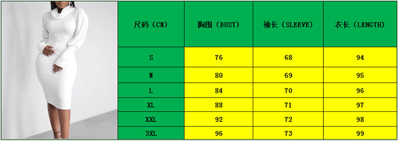 Women Fall High Neck Long Sleeve Bodycon Dress 12