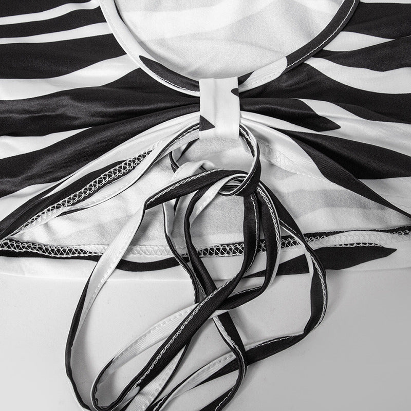 Fall Zebra Print Long Sleeve Tie Crop Top Slit Skirt Two Piece Set 13