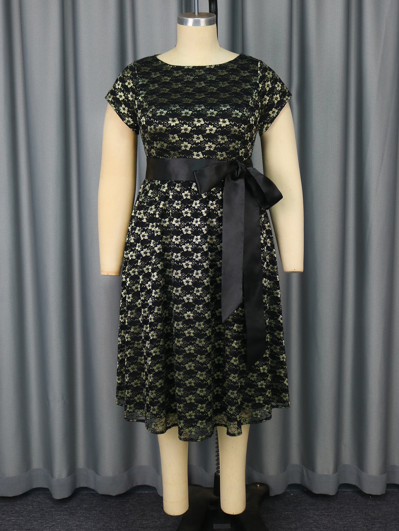 Plus Size Lace Round-Neck Short-Sleeve A-Line Elegant Chic Party Dress 5