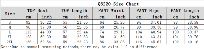 Women Print Top and Pants Two Piece Set 13