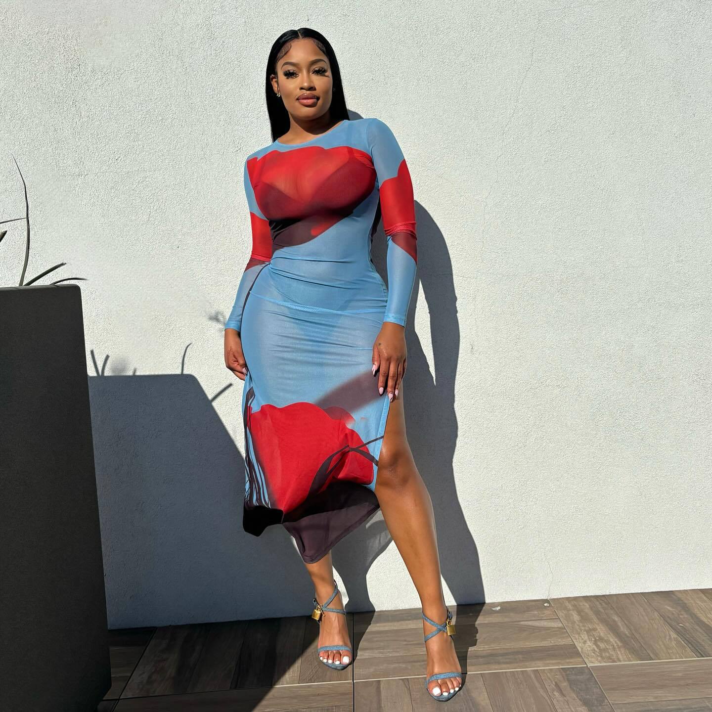 Women's Clothing Sexy Printed Mesh Slit Dress For Women 3