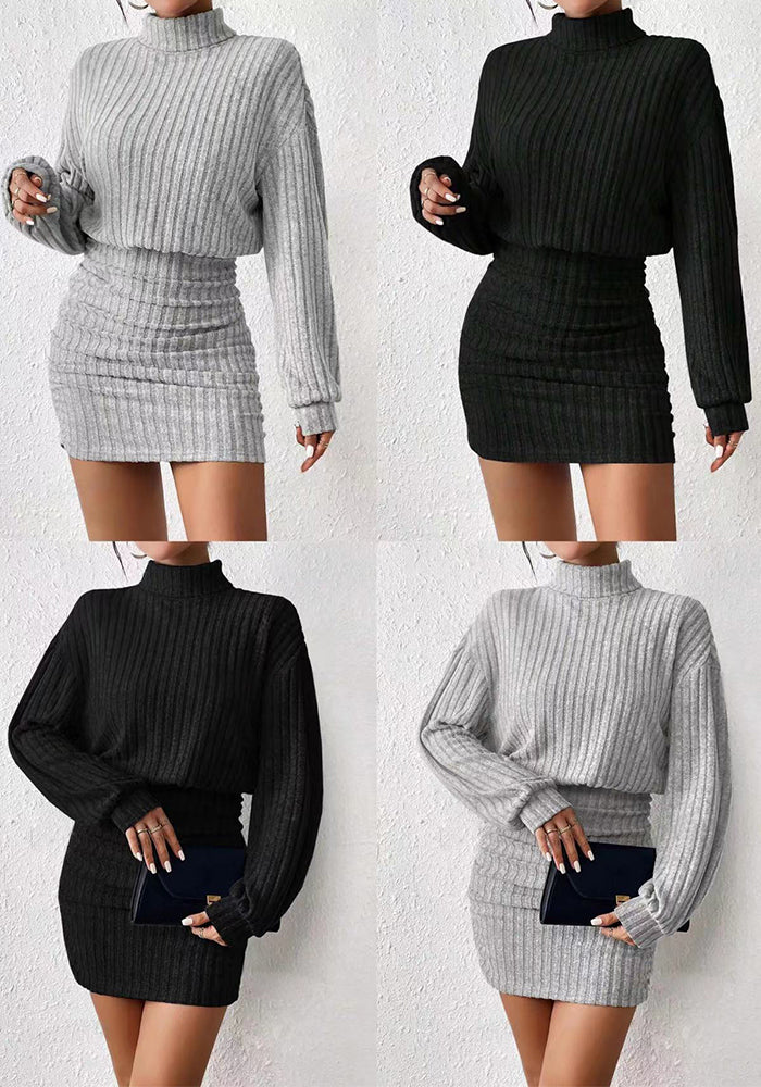 Autumn Winter Women's Slim Fashion Ribbed High Neck Long Sleeve Bodycon Dress