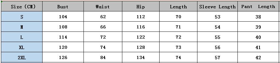 Summer Women Shirt Jacquard Puff Sleeve Top And Shorts Two-piece Set 29