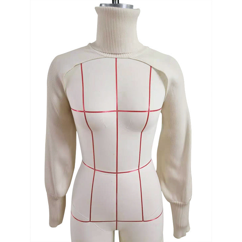 Women Lantern Sleeve High Neck Sweater 22