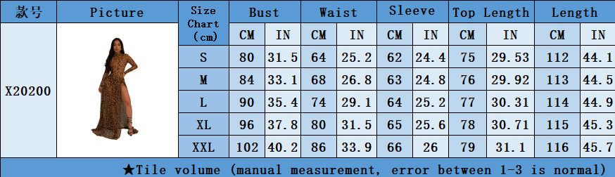 Women Sexy Leopard Print See-Through Bodysuit and Slit Skirt Two-Piece Set 12