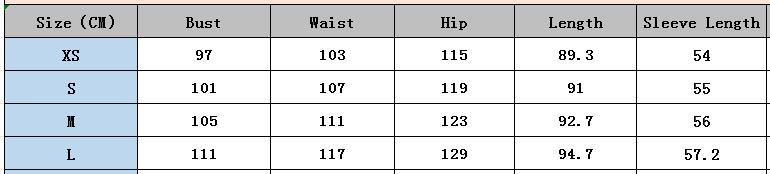 Women's Turndown Collar Button-Up Long Sleeve Casual Dress 7