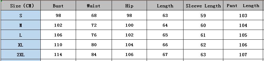 Women Long Sleeve Printed Shirt + Solid Pant Casual Two-Piece Set (No Jacket) 25