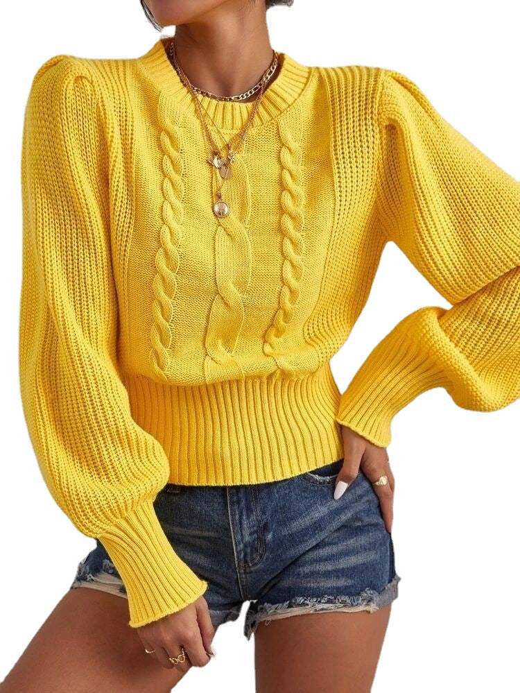 Women Solid knitting Round Neck lantern sleeve sweater 8