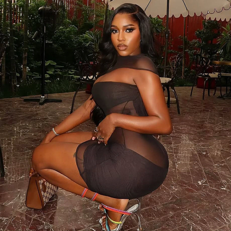 Women Sexy See-Through Bodycon Hollow High-Neck Solid Dress 5