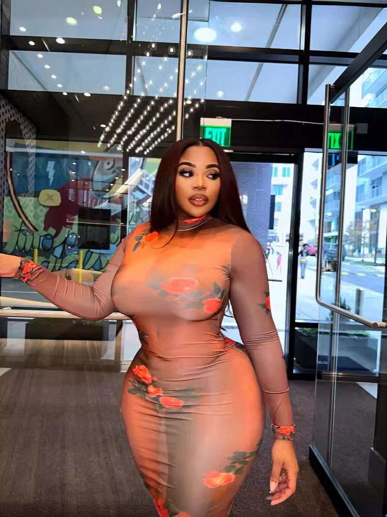 Women Round Neck Long Sleeve Printed Dress 9