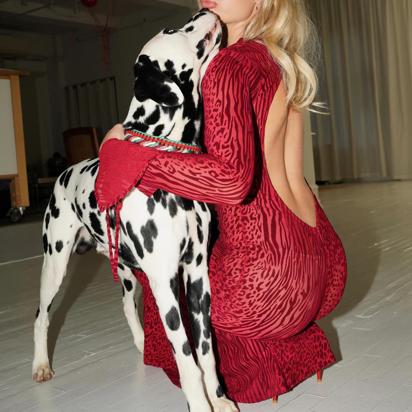 Sexy Low Back Bell Bottom Sleeve Fishtail Red Leopard Print Mesh Long Dress