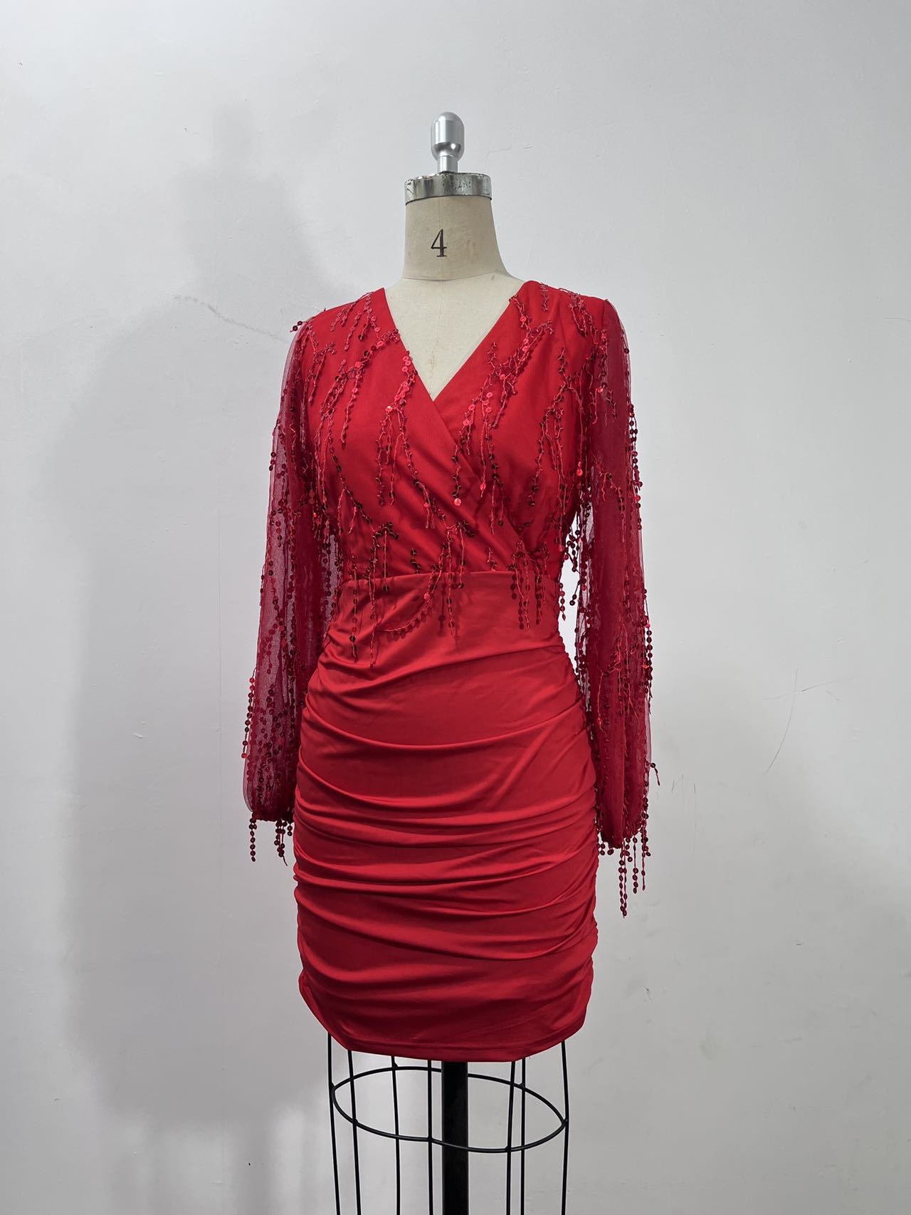 Women's Long Sleeve Sequin Tassel Fashionable Dress 13