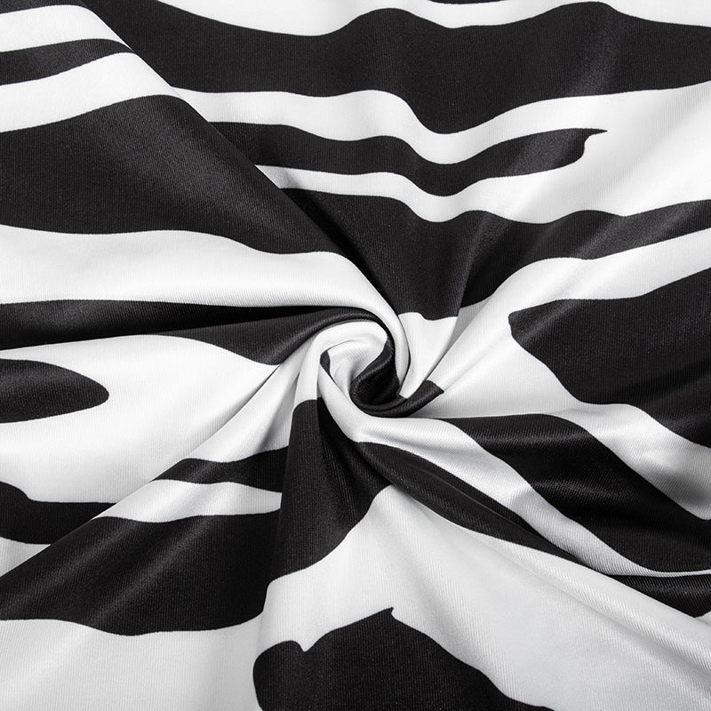 Fall Zebra Print Long Sleeve Tie Crop Top Slit Skirt Two Piece Set 14