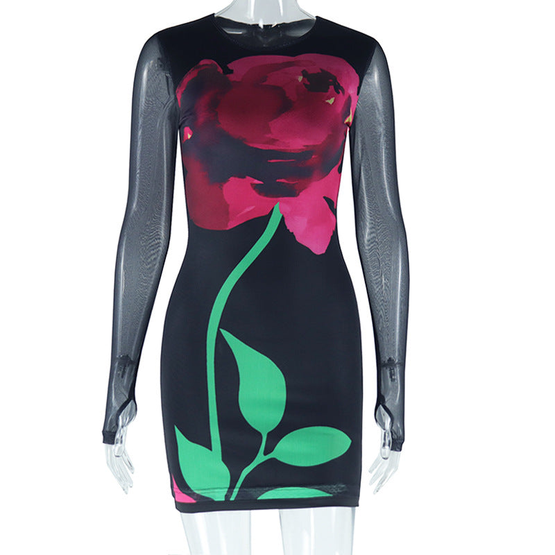Women Print Round Neck Mesh Long Sleeve Bodycon Dress 6