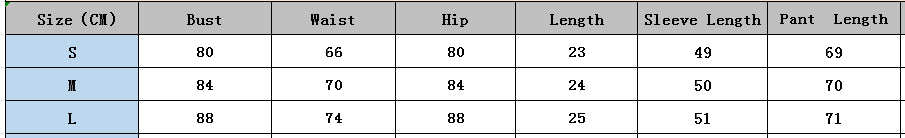 Women Leopard Print Sexy Mesh Two Piece Set 7