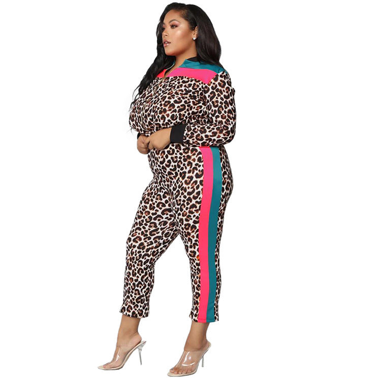 Autumn Slim Fit Set Stylish Leopard Color Block Zipper Two-Piece Pants Set 5