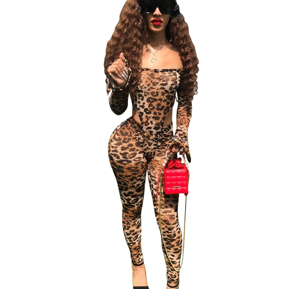 Fashionable and Sexy Mesh Leopard Print Bodysuit Slim Pants Two-Piece Set for Women 7