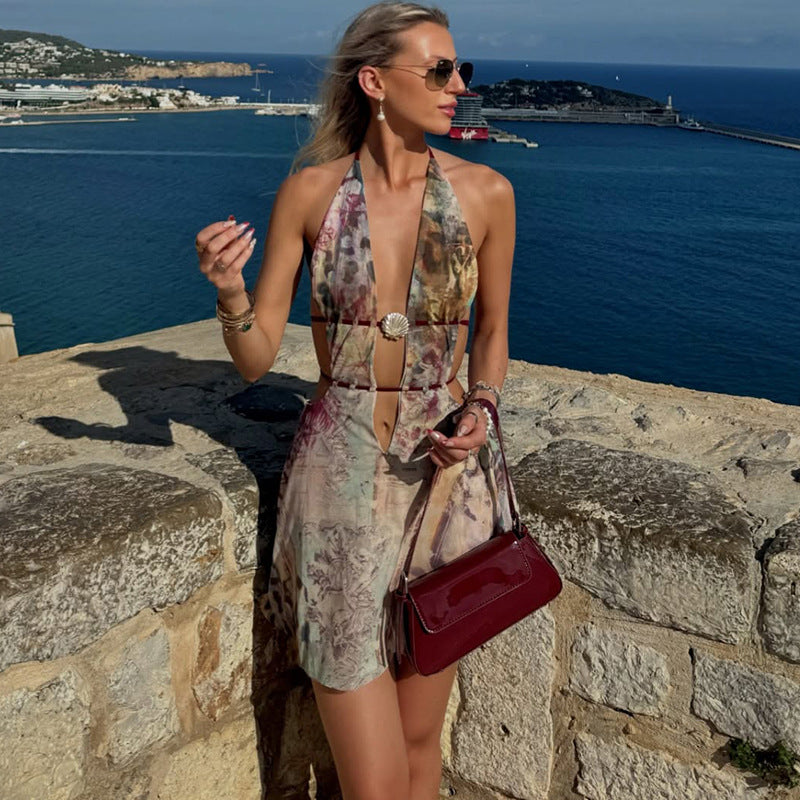 Women Summer Sexy V Neck Halter Neck Backless Print Dress 4