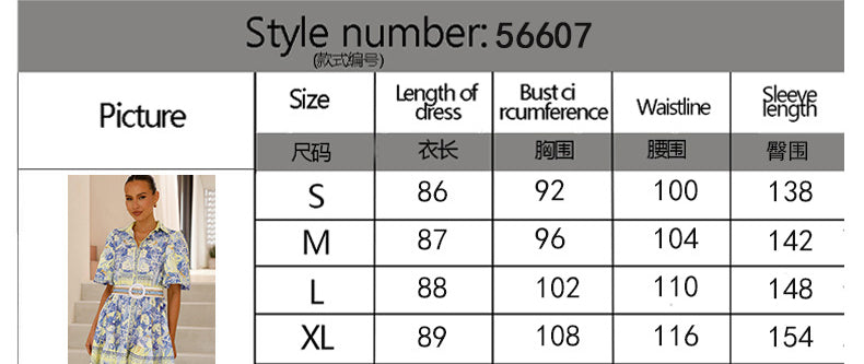 Summer Casual Fashion Print Turndown Collar Women's Shirt Dress 13