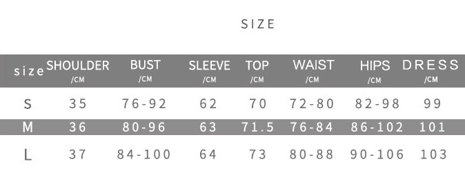 Women V-Neck Leopard Print Sexy Top and Long Skirt Two-Piece Set 9