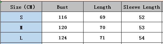 Plus Size Women Long Sleeve Ripped Loose Sweater 11