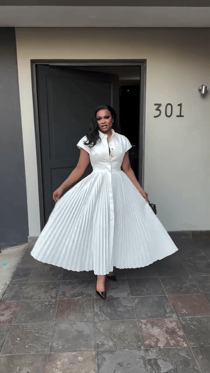 Women Short Sleeve Pleated Shirt Dress 6