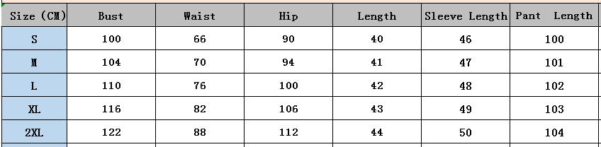 Fashion Casual Sportswear Women's Spring Autumn Solid Color Long Sleeve Zipper Slim Fit Two-Piece Pants Set 15