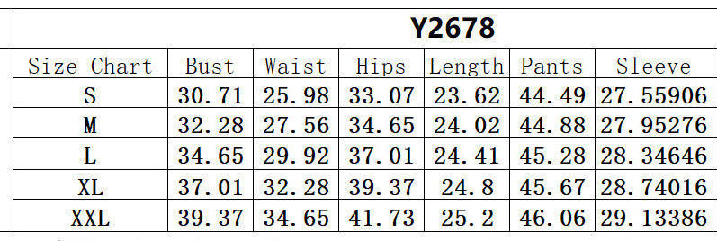 Long sleeve lip button mesh shirt leather mesh pants two-piece set 4