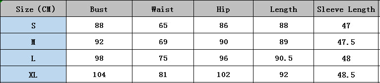 Women Line Design Lantern Sleeve Dress 9