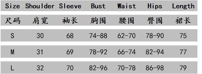 Women Underwire Pleated Long Sleeve Sexy Shoulder Pad V Neck Dress 10